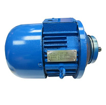 Двигатель подъема для талей электрических CD1 1,0 т ZD1 22-4 (1,5 кВт) Двигатель подъема для талей электрических CD1 1,0 т ZD1 22-4 (1,5 кВт)