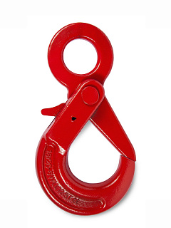 Крюк самозакрывающийся с проушиной TOR 15 т (Q) Крюк самозакрывающийся с проушиной TOR 15 т (Q)