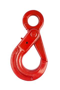 Крюк самозакрывающийся с проушиной TOR 5,3 т (Q) Крюк самозакрывающийся с проушиной TOR 5,3 т (Q)