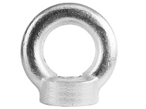 Рым-гайка TOR DIN 582 20мм (Q) Рым-гайка TOR DIN 582 20мм (Q)