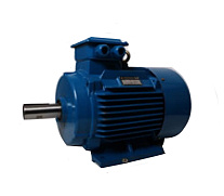Двигатель подъема для лебедок электрических ЛМ(JM) 1,0 т Двигатель подъема для лебедок электрических ЛМ(JM) 1,0 т